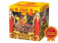 Красивая жизнь Фейерверк купить в Хабезе | habez.salutsklad.ru