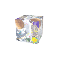 Новогодняя ночь Салют купить в Хабезе | habez.salutsklad.ru