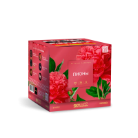 Пионы Салют купить в Хабезе | habez.salutsklad.ru