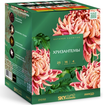 Хризантемы Фейерверк купить в Хабезе | habez.salutsklad.ru