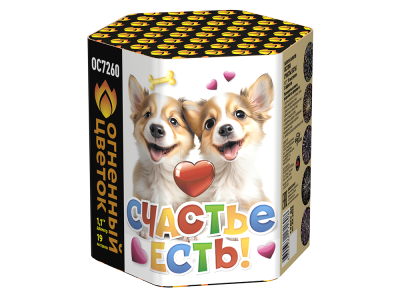 Счастье есть! Салют купить в Хабезе | habez.salutsklad.ru